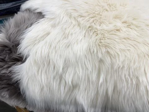 White fur texture background, close-up. White fur texture. Stock Photos