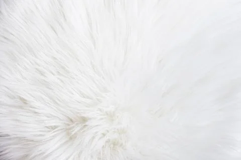 White fur texture Foto stock