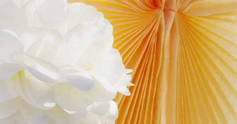 White garland with orange 4K Video stock 44751113