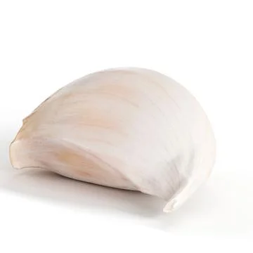 A white garlic clove,  3d rendering Stock Illustration