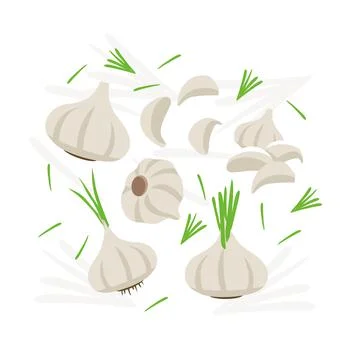 White Garlic elements abstract vector design background for packaging design Illustrazione stock