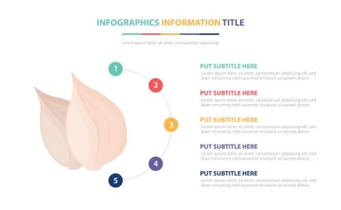 White garlic infographic template concept with five points list and various c Stock Illustration