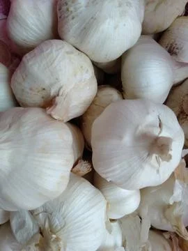 The white garlic. Stock Photos