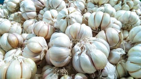 White garlic pile texture. Fresh garlic on market table closeup photo Stock Photos