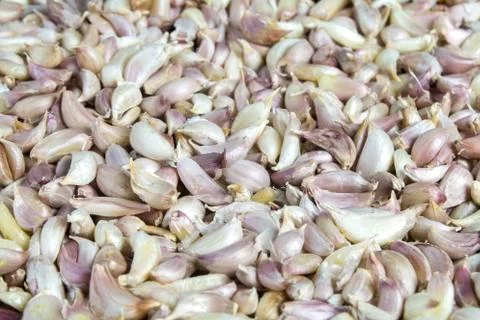 White garlics Stock Photos