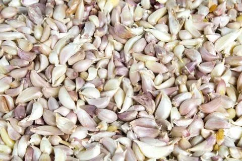White garlics Stock Photos
