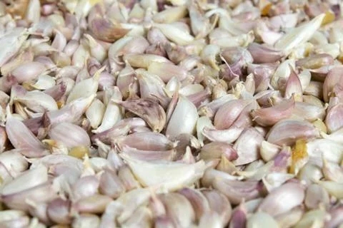 White garlics Stock Photos