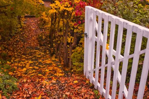 White gate to colored autumn Stock Photos