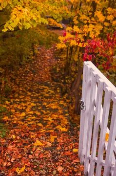 White gate to colored autumn Stock Photos