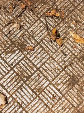 White geometric ground pattern with dry leaves 写真素材