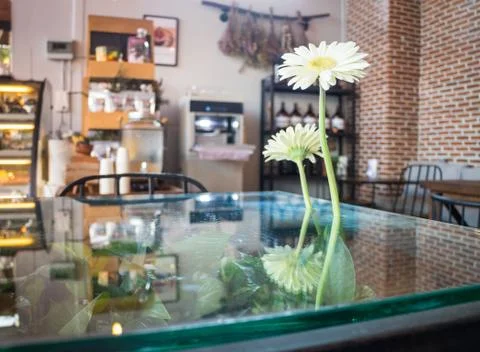 White gerbera flower decorated glass table Stock Photos