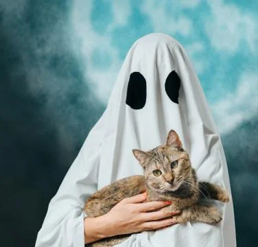 White ghost holding a cat on background of moon. Stock Photos