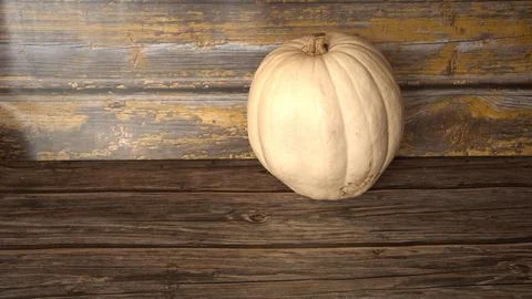 White  ghost  pumpkin Stock Photos