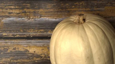 White  ghost  pumpkin Stock Photos