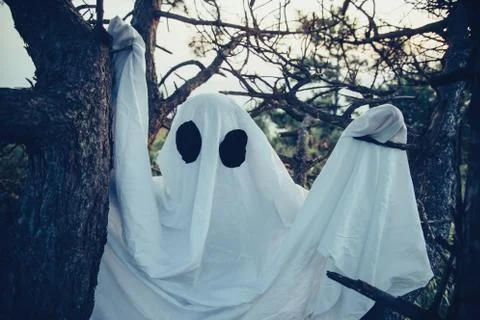 White ghost in the woods Stock Photos