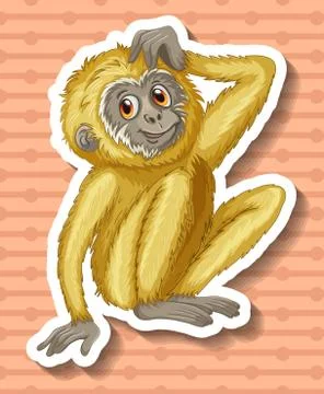 White gibbon scratching the head Illustrazione stock