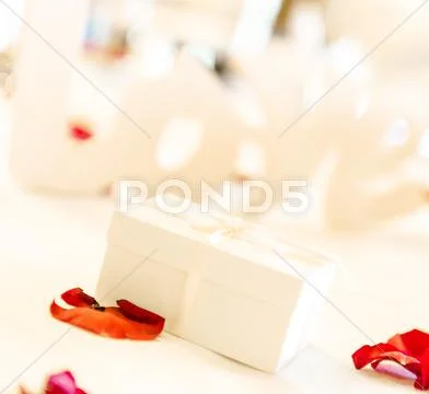 White gift box and red rose petals Stock Photos