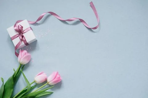 A white gift box with a pink satin bow and a bouquet of pink tulips on a blue Stock Photos