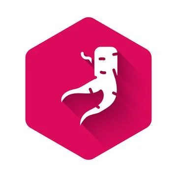 White Ginger root icon isolated with long shadow. Pink hexagon button. Vector Stock Illustration