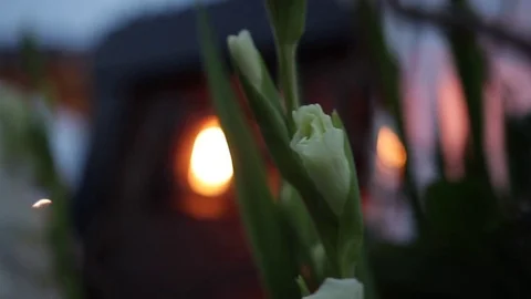 White gladiolus bouquet and retro LED lantern on wood plank wall in the evening Vídeo Stock 72741653
