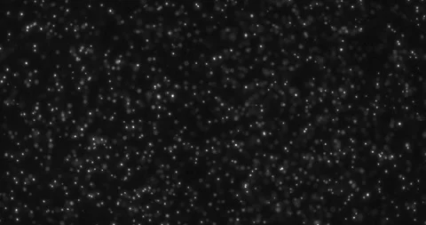White glitter sparkle bubbles particles bokeh on black background Video stock 327656046