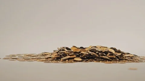 White-gloved hands scooping up a pile of gold coins. They sort out and scatter Stock Footage 122707089