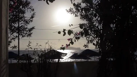 The white glow of the sun bright in the sky at sunset Stock Footage 85016546
