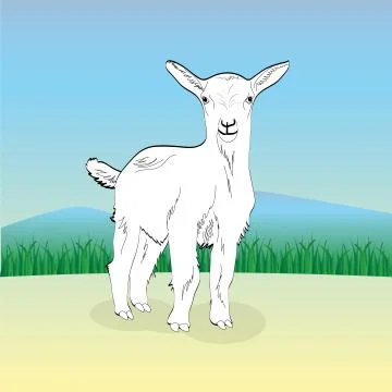 White goat Stock Illustration