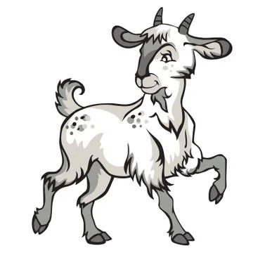 White Goat Stock Illustration