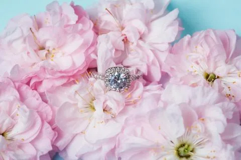 White gold ring with diamonds inside tender pink rose petals Foto stock