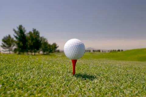 White golf ball on tee Foto stock