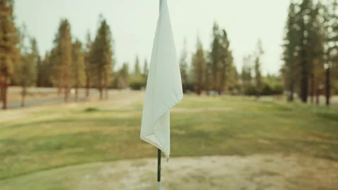 White golf flag on a pin with pine trees behind 스톡 동영상 348047284