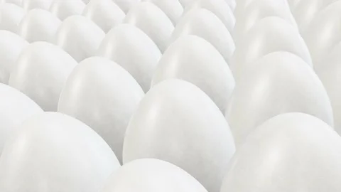 White goose eggs tracking camera realistic looping 3D animation Stock Footage 187460671