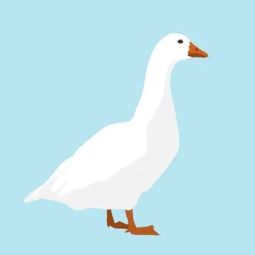 White goose Illustrazione stock