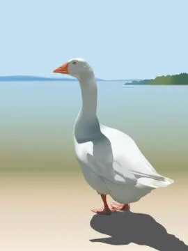 White goose Stock Illustration