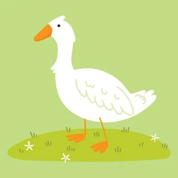 White goose Illustrazione stock