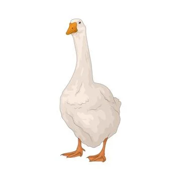 White goose illustration Stock Illustration