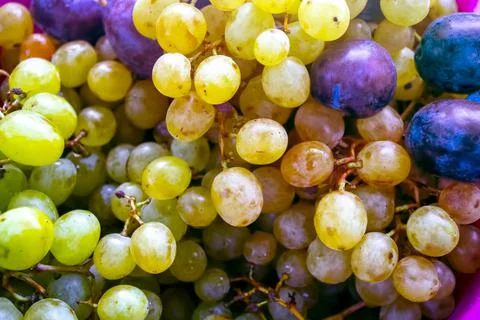 White grape and plums, fruit background Stock Photos