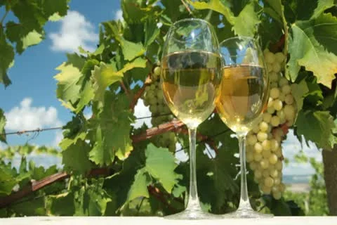 White Grape and Wine Stock Footage