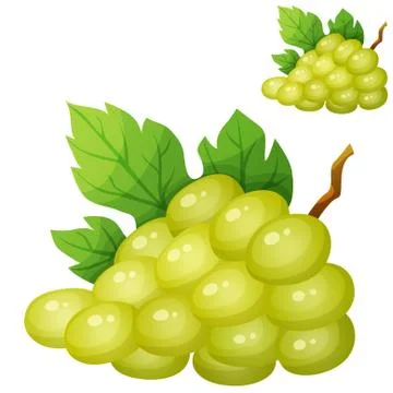 White grape. Cartoon vector icon isolated on whte background. Series of food Stock Illustration