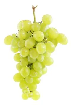 White grape cluste Stock Photos