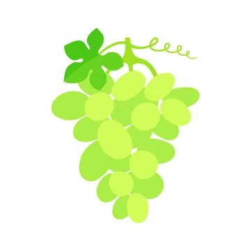 White grape cluster with a leaf. Vector flat illustration isolated on white. Stock Illustration