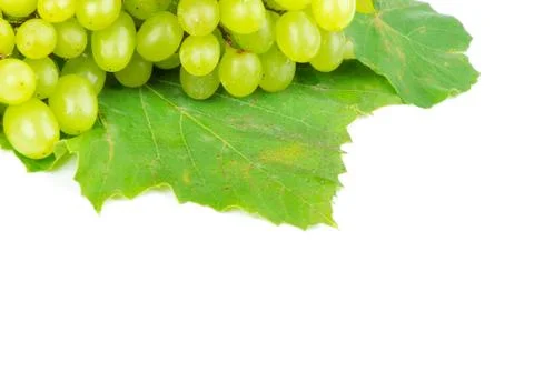 White grape on white background Stock Photos