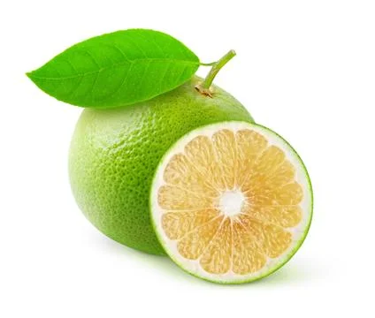 White grapefruit Stock Photos