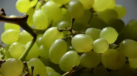 White grapes close-up shot. (Rotating) Video stock 12129278