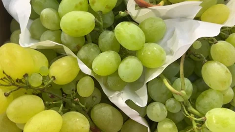 White grapes to eat clusters separated with sheets of white paper Stock Footage 312323852