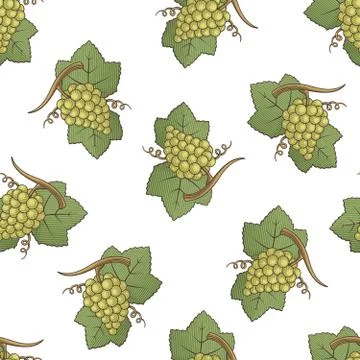 White Grapes Pattern Stock Illustration