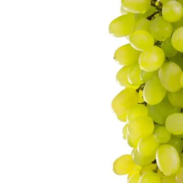 White grapes. Stock Photos