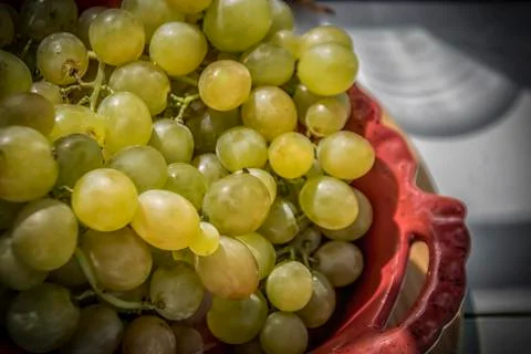White Grapes Stock Photos