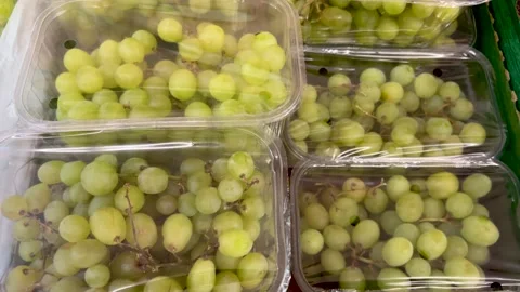 White grapes in plastic trays Stock Footage 301248463